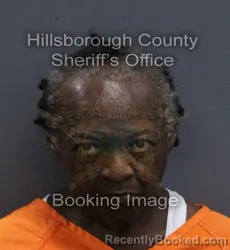 Mugshot of Sylvia Wallace Harris booked in Hillsborough County, Florida on September 17, 2026