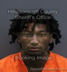 Mugshot of Antonio Lamar Jr Hill booked in Hillsborough County, Florida on September 17, 2026