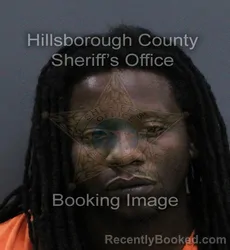 Mugshot of Jeremy Larson Carlyle booked in Hillsborough County, Florida on September 17, 2026