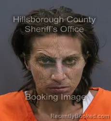 Mugshot of Saraellen Delia Demers booked in Hillsborough County, Florida on September 17, 2026