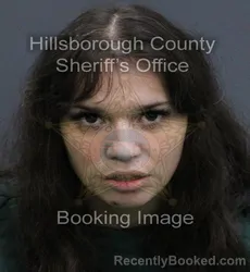 Mugshot of Gladys Evelyn Quiles booked in Hillsborough County, Florida on September 17, 2026