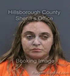 Mugshot of Hailey Monroe Morgan booked in Hillsborough County, Florida on September 17, 2026