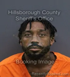 Mugshot of Infant Hill booked in Hillsborough County, Florida on September 17, 2026