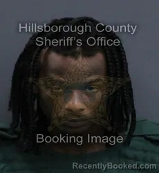 Mugshot of Daniel Bartolo Mendez booked in Hillsborough County, Florida on September 17, 2026