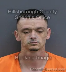 Mugshot of Codi Ray Paris booked in Hillsborough County, Florida on September 17, 2026