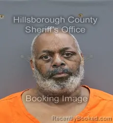 Mugshot of Diego Francisco Jr Cedeno booked in Hillsborough County, Florida on September 17, 2026