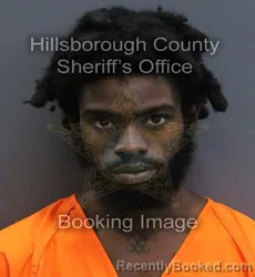 Mugshot of Isaiah Davon Williams booked in Hillsborough County, Florida on September 17, 2026