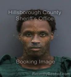 Mugshot of Dalyn Honors booked in Hillsborough County, Florida on September 17, 2026