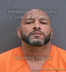 Mugshot of Derreck Steven Fantauzzi booked in Hillsborough County, Florida on September 17, 2026