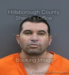Mugshot of Edel Infante Martinez booked in Hillsborough County, Florida on September 17, 2026