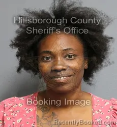 Mugshot of Felicia Lashawn Robinson booked in Hillsborough County, Florida on September 17, 2026
