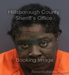 Mugshot of Rosemarie Sawyer booked in Hillsborough County, Florida on September 17, 2026