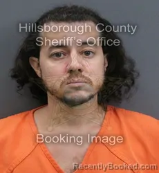 Mugshot of Manuel Mario Fernandes booked in Hillsborough County, Florida on September 17, 2026