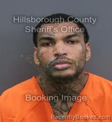 Mugshot of Justin Malik Lee Williams booked in Hillsborough County, Florida on September 17, 2026
