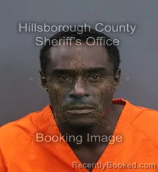 Mugshot of Mario Charlie Dennison booked in Hillsborough County, Florida on September 17, 2026