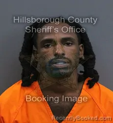 Mugshot of Joseph Luis Jr Williams booked in Hillsborough County, Florida on September 17, 2026