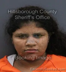 Mugshot of Alianny Lopez Paz booked in Hillsborough County, Florida on September 17, 2026