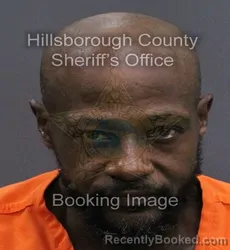 Mugshot of Vatallion Reshay Sr Askew booked in Hillsborough County, Florida on September 17, 2026