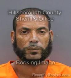 Mugshot of Eudis Ramon Nunez booked in Hillsborough County, Florida on September 18, 2026