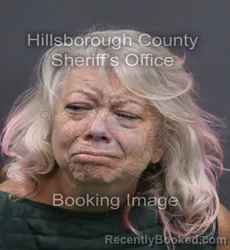 Mugshot of Ronette Lee Groenthal booked in Hillsborough County, Florida on September 18, 2026