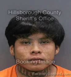 Mugshot of Jose Luis Alarcon Mosso booked in Hillsborough County, Florida on September 18, 2026