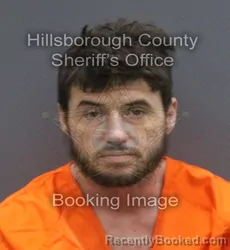 Mugshot of Ian Windsor Gosling booked in Hillsborough County, Florida on September 18, 2026