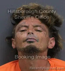 Mugshot of Jack Alexander Williams booked in Hillsborough County, Florida on September 18, 2026