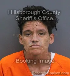 Mugshot of Melanie Rosa Suarez-Iglesias booked in Hillsborough County, Florida on September 18, 2026