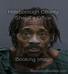 Mugshot of Anthony Eric Lavar Johnson booked in Hillsborough County, Florida on September 18, 2026