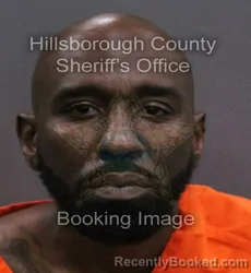 Mugshot of Anthony R Nurse booked in Hillsborough County, Florida on September 18, 2026
