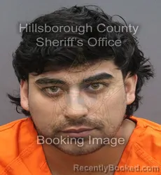 Mugshot of Carlos Jr Pena booked in Hillsborough County, Florida on September 18, 2026