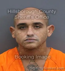 Mugshot of Ryan Fargas booked in Hillsborough County, Florida on September 18, 2026