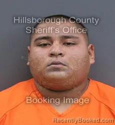 Mugshot of Ignacio De Leon-Antonio booked in Hillsborough County, Florida on September 18, 2026