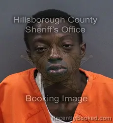 Mugshot of Antolia Marie Davis booked in Hillsborough County, Florida on September 18, 2026