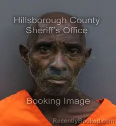 Mugshot of Raynaldo Watkins booked in Hillsborough County, Florida on September 18, 2026