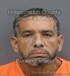 Mugshot of Jorge Luis Herrera booked in Hillsborough County, Florida on September 18, 2026