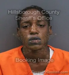 Mugshot of Janay Dejanira Brintley booked in Hillsborough County, Florida on September 18, 2026