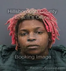 Mugshot of Markaya Ai'Yanna Wilson booked in Hillsborough County, Florida on September 18, 2026