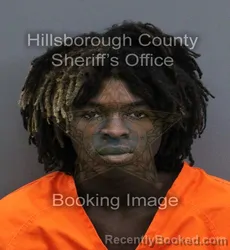 Mugshot of Dakarai Reshad Harris booked in Hillsborough County, Florida on September 18, 2026