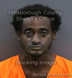 Mugshot of Ray Valentino Facey booked in Hillsborough County, Florida on September 18, 2026