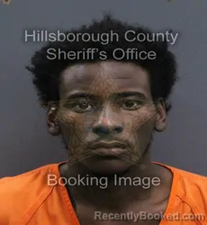 Mugshot of Makenley Liautaud booked in Hillsborough County, Florida on September 18, 2026