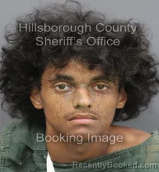 Mugshot of Jaxxon Drake Abbott Newbury booked in Hillsborough County, Florida on September 18, 2026