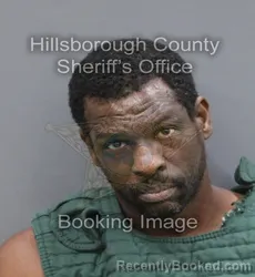 Mugshot of Anthony Moses St Valle booked in Hillsborough County, Florida on September 18, 2026