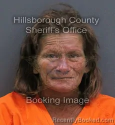 Mugshot of Kathy Lynn Nichols booked in Hillsborough County, Florida on September 18, 2026