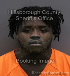 Mugshot of Mylord Yashua El'Shadda King booked in Hillsborough County, Florida on September 18, 2026