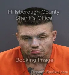Mugshot of Jordan Robert Hernandez booked in Hillsborough County, Florida on September 18, 2026