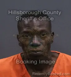 Mugshot of Quincy Louis Shankle booked in Hillsborough County, Florida on September 18, 2026