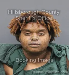 Mugshot of Geniva Michelle Davis booked in Hillsborough County, Florida on September 18, 2026