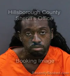 Mugshot of Eberneson Edmond booked in Hillsborough County, Florida on September 18, 2026