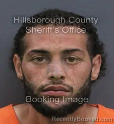 Mugshot of Robert Addiel Aponte booked in Hillsborough County, Florida on September 19, 2026